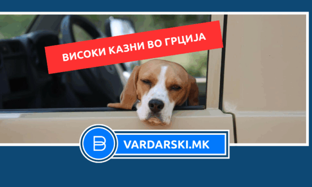 Бугарка оставила куче заклучено во жежок автомобил во Грција – казнета е со 1000 евра